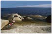 Felsenk�ste am fast �stlichsten Punkt Schwedens